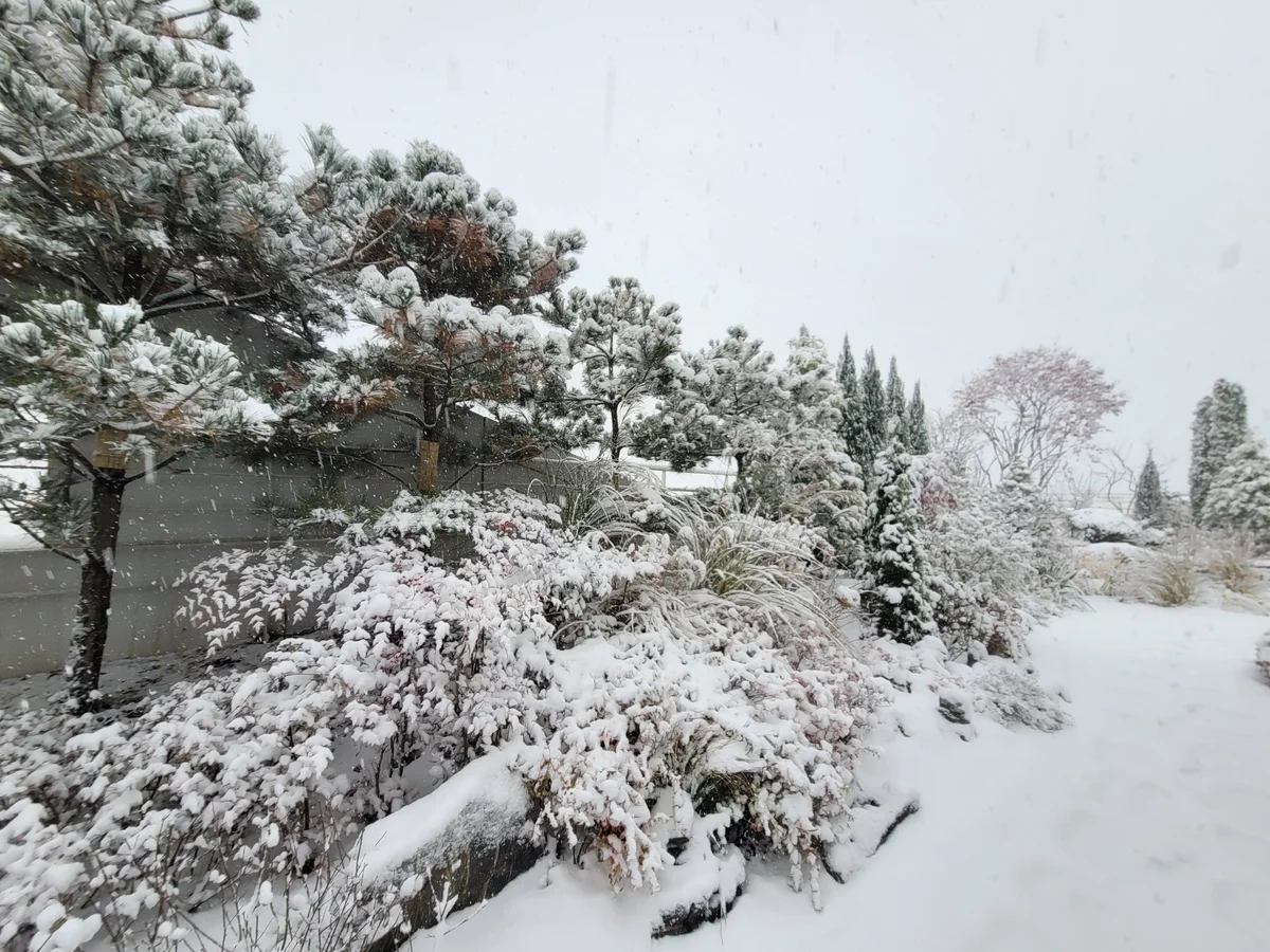 20241127_경동원 옥상조경 겨울8.jpg